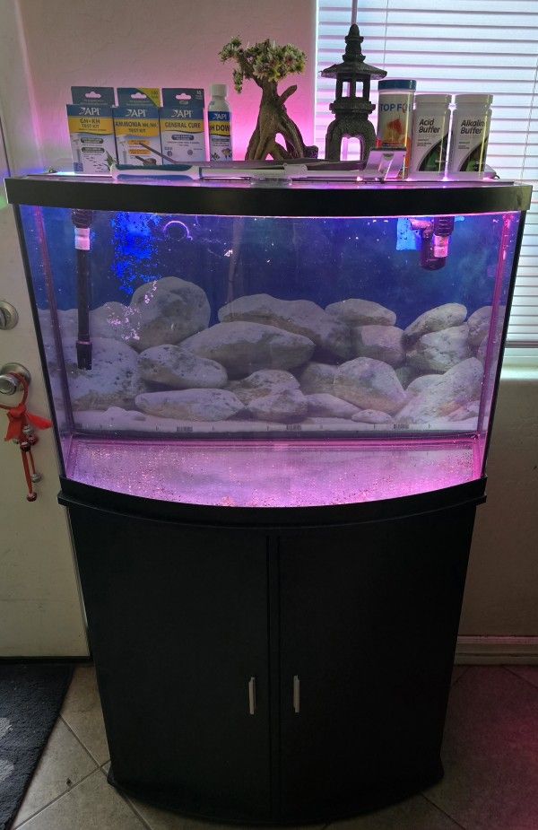 36 Gallon Bow Front Fish Tank