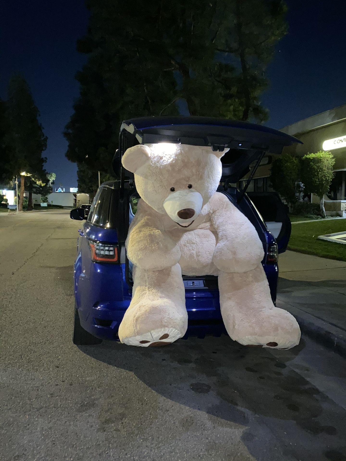 Huge Bear 9ft Bear Valentines Bear