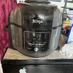 Ninja Air Fryer 