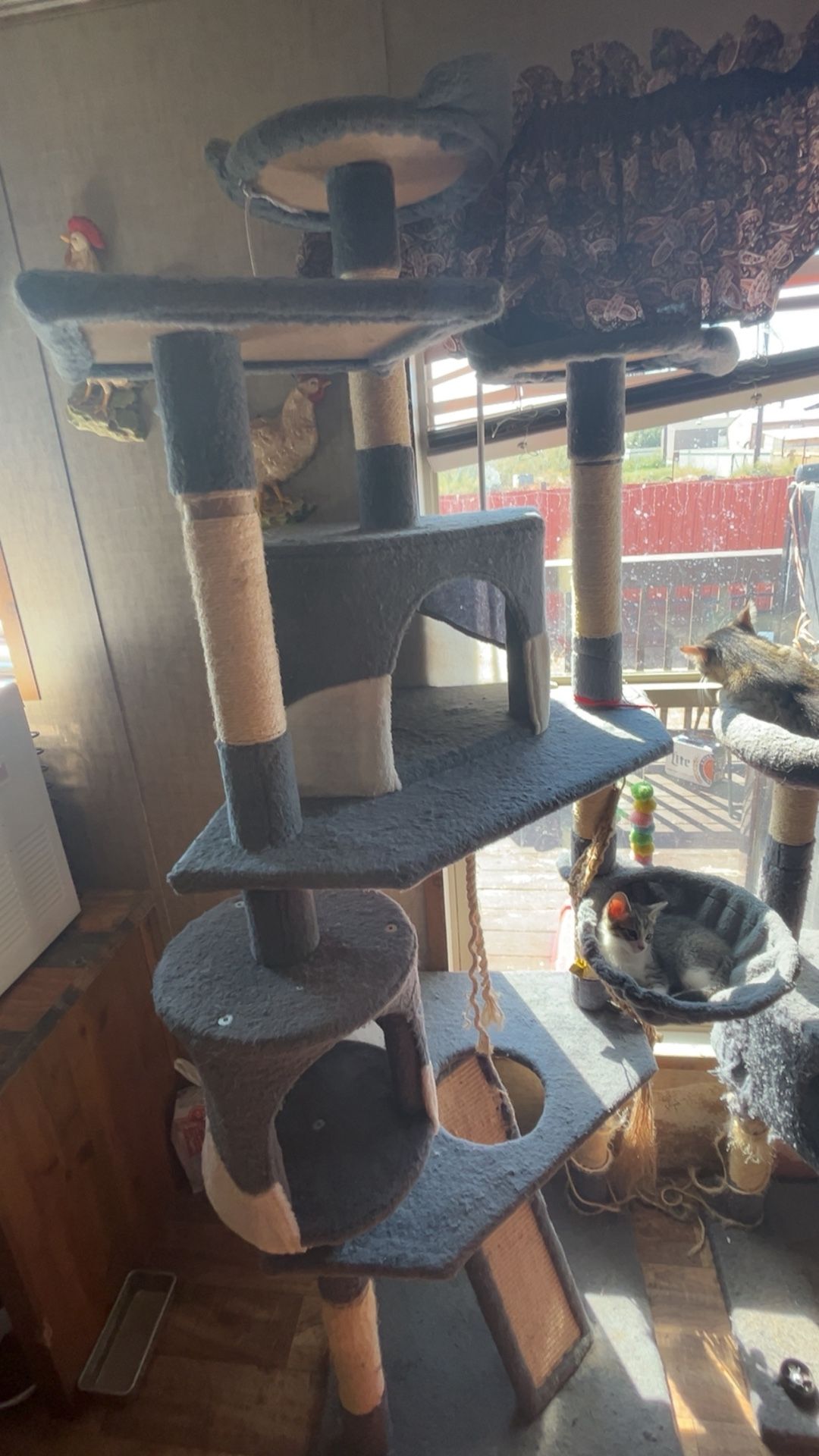 Cat Tower