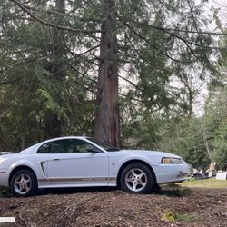 2002 Ford Mustang