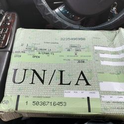 Nike Union Dunk Low/ U Passport Pistachio