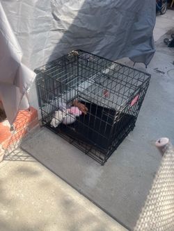 Dog crate