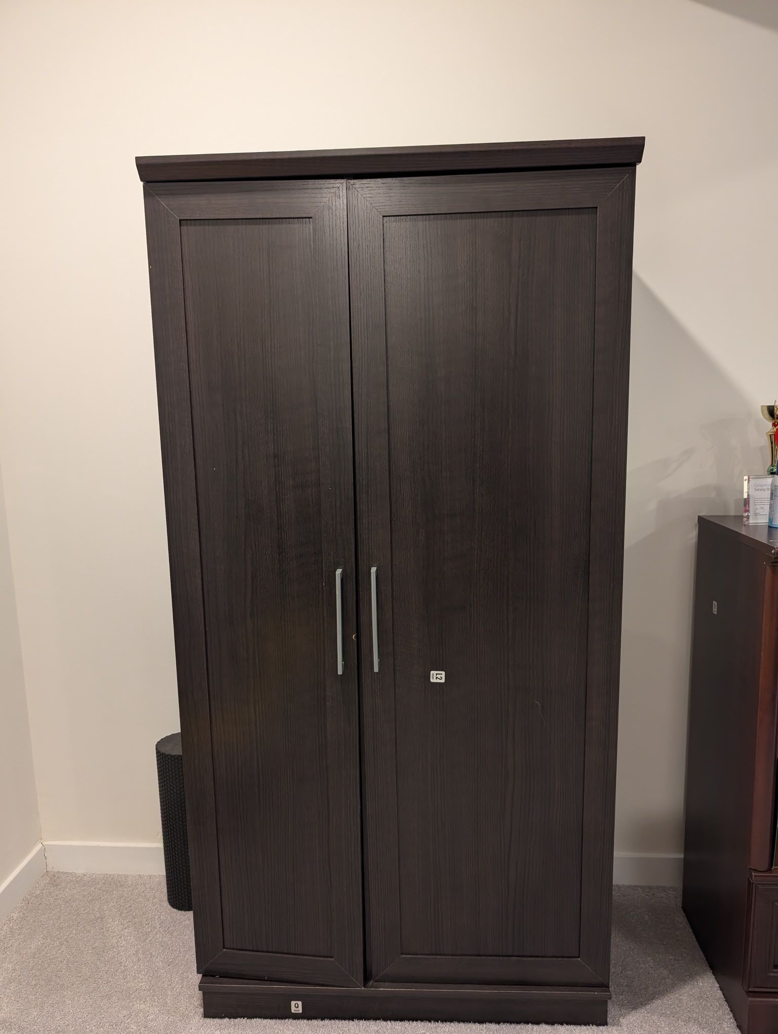 Storage Cabinet/pantry for sale