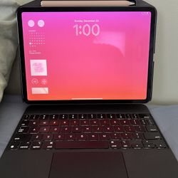 IPAD Pro 11 2nd Gen 256 Gb Wi-fi