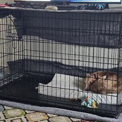 XL Dog Cage