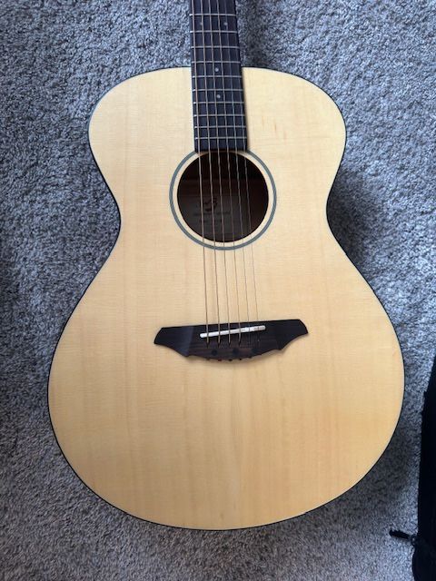 Breedlove guitar passport Series 
