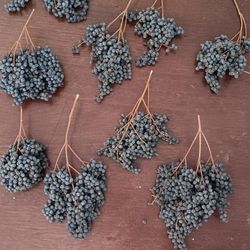 Chinese Privet Berries