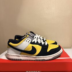 Nike SB Dunk Low Bic 2006 