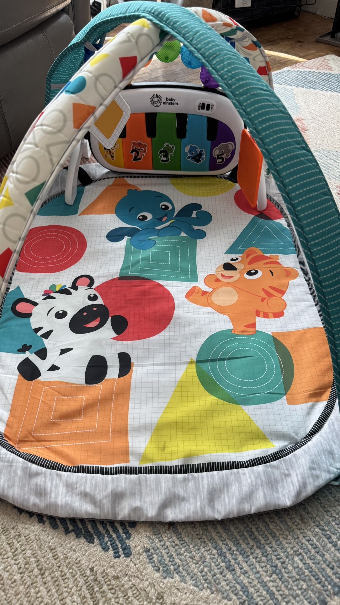 Baby Einstein Playmat