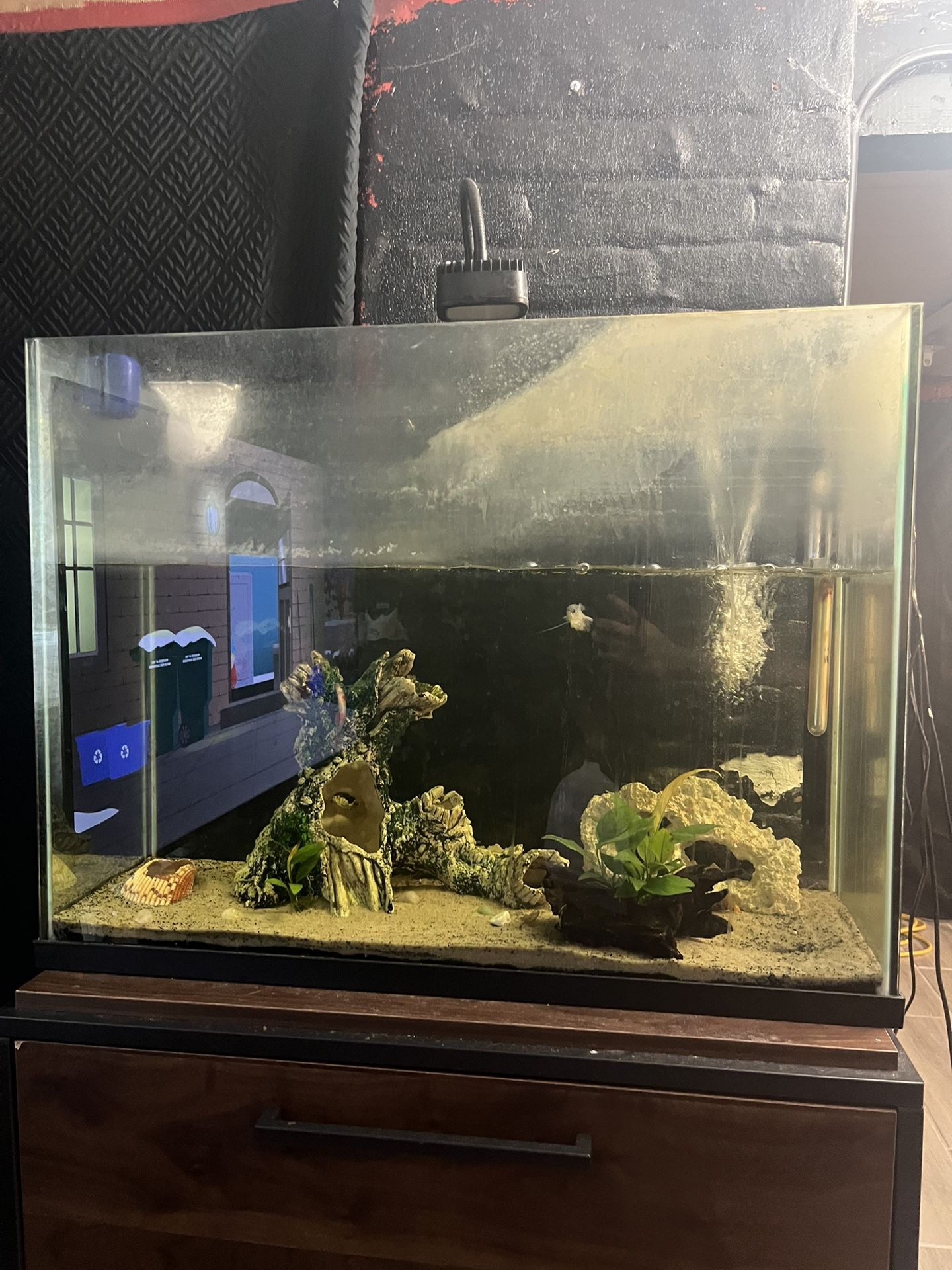 45 Gallon Aquarium