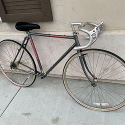 Schwinn Touring Bike Voyageur
