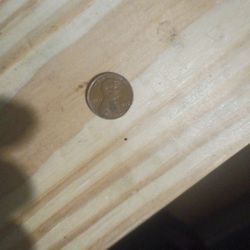 PENNY 1976 NO D NO S NO C