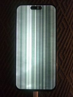 Water Damage Iphone Pro Max 14