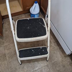 Saturday 5/4 Only - Small 2 Step Ladder