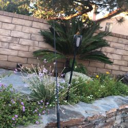 Okuma PCH CUSTOM 8’ 15-40lb Saltwater Fishing Rod-GREAT SHAPE!!