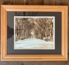 8X10 photograph of park in high end oak frame and custom mat.