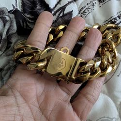 Cuban Link Dog Collar - Gold