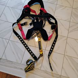 Full Body Harness 