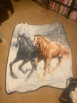 Nice horse blanket