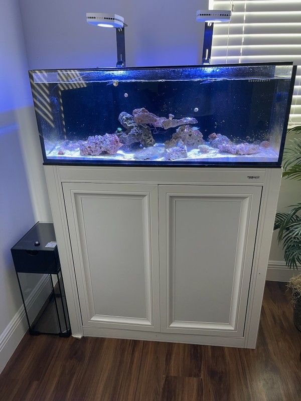 Innovative Marine Fish Tank