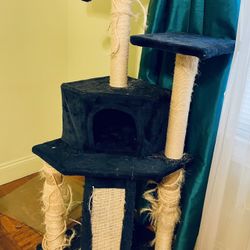 FREE- Cat Tree with Scratching Posts