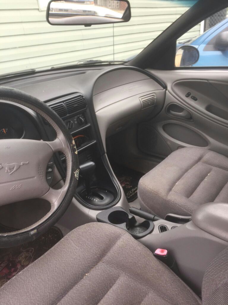Mustang for sale