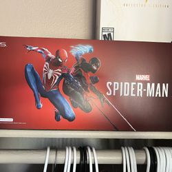 Spiderman 2 Collectors Edition. 