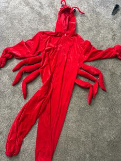 Adult costume