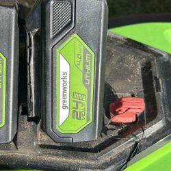 24v Green Works Battery 