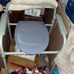 Potty Chair