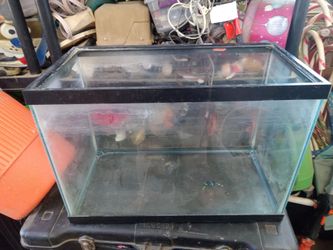 Fish tank