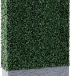 Privacy Or Backdrop Hedge Wall 