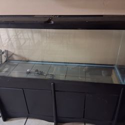 Fish Tank