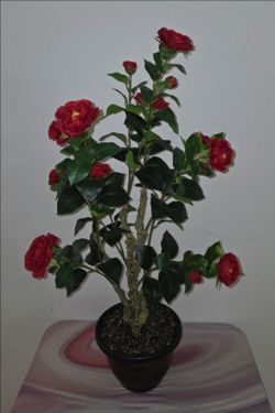 *** CLEARANCE *** 38" Faux Red Camellia Tree Topped With Labradorite Stones in 10" Planter @ Lasting Creations