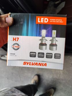 Vehicle LED Lights Bulbs H7. Will Deliver With In 15 Miles
