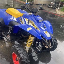 Trailblazer 250 2 stroke