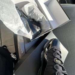 Jordan 11 Gammas 