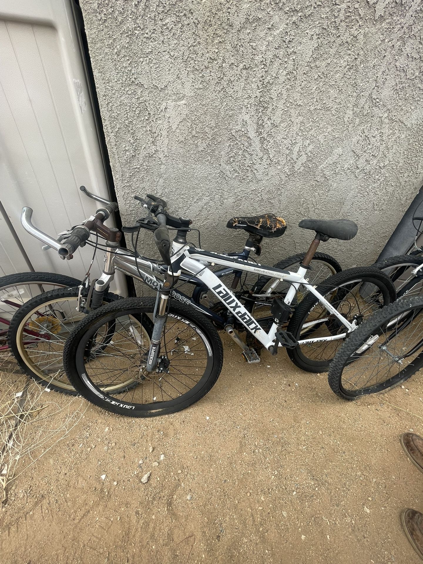 Adult Bikes & Girl Bikes