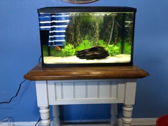 10 gallon fish tank with everything included
