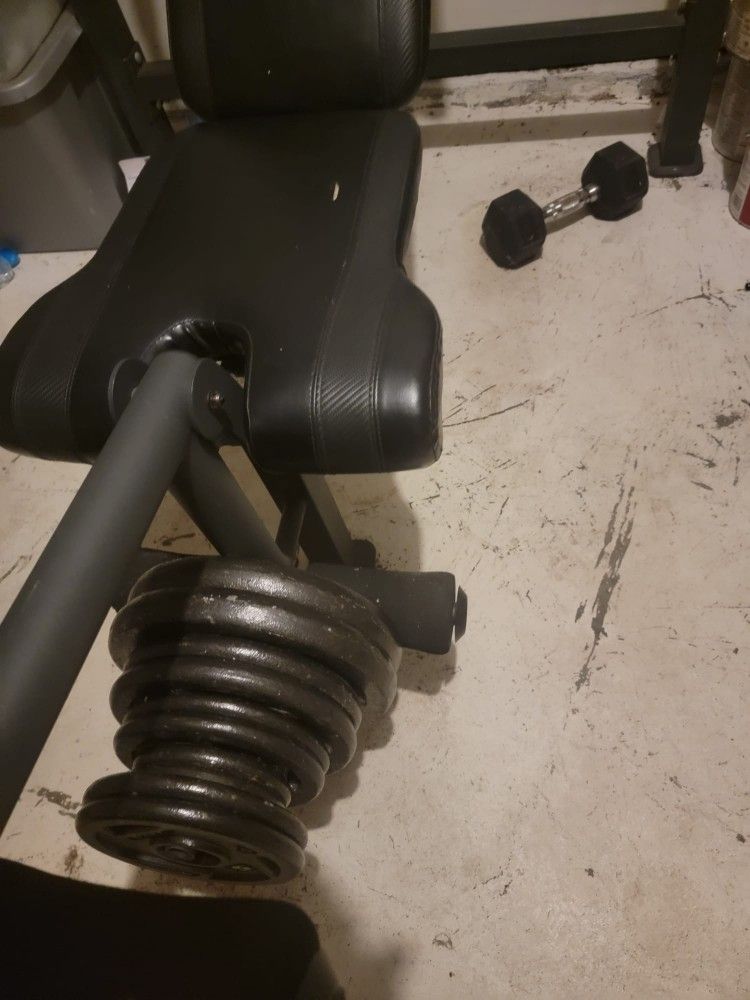 Weights Rack Bar And Bench
