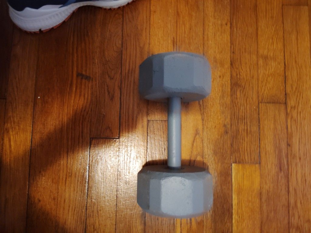 One Dumbbell 15 Pound