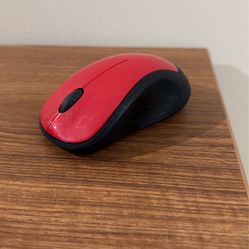 Wireless Mouse w/ USB