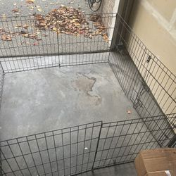 Dog Playpen - 8-Panel Steel