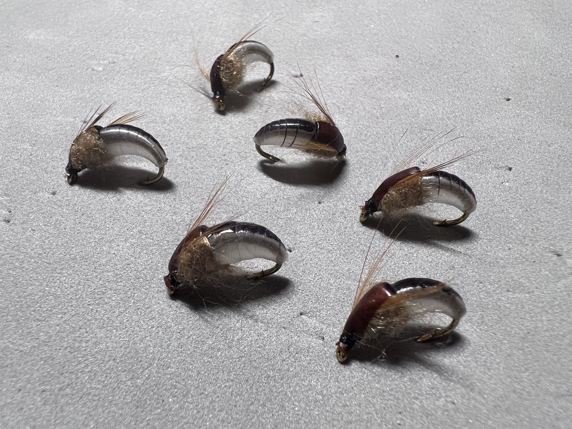 Caddis pupa, Size 14, Sold Per 6