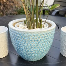 5 small planting pots 