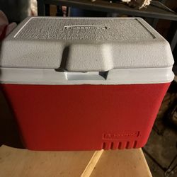 Personal cooler 