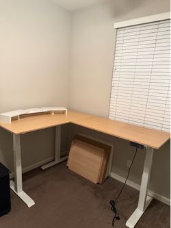 Standing Desk (FlexiSpot)