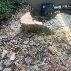 Stump Grinding 
