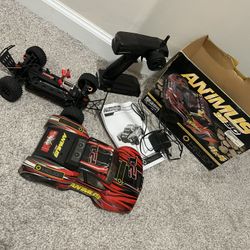 Animus RC Car